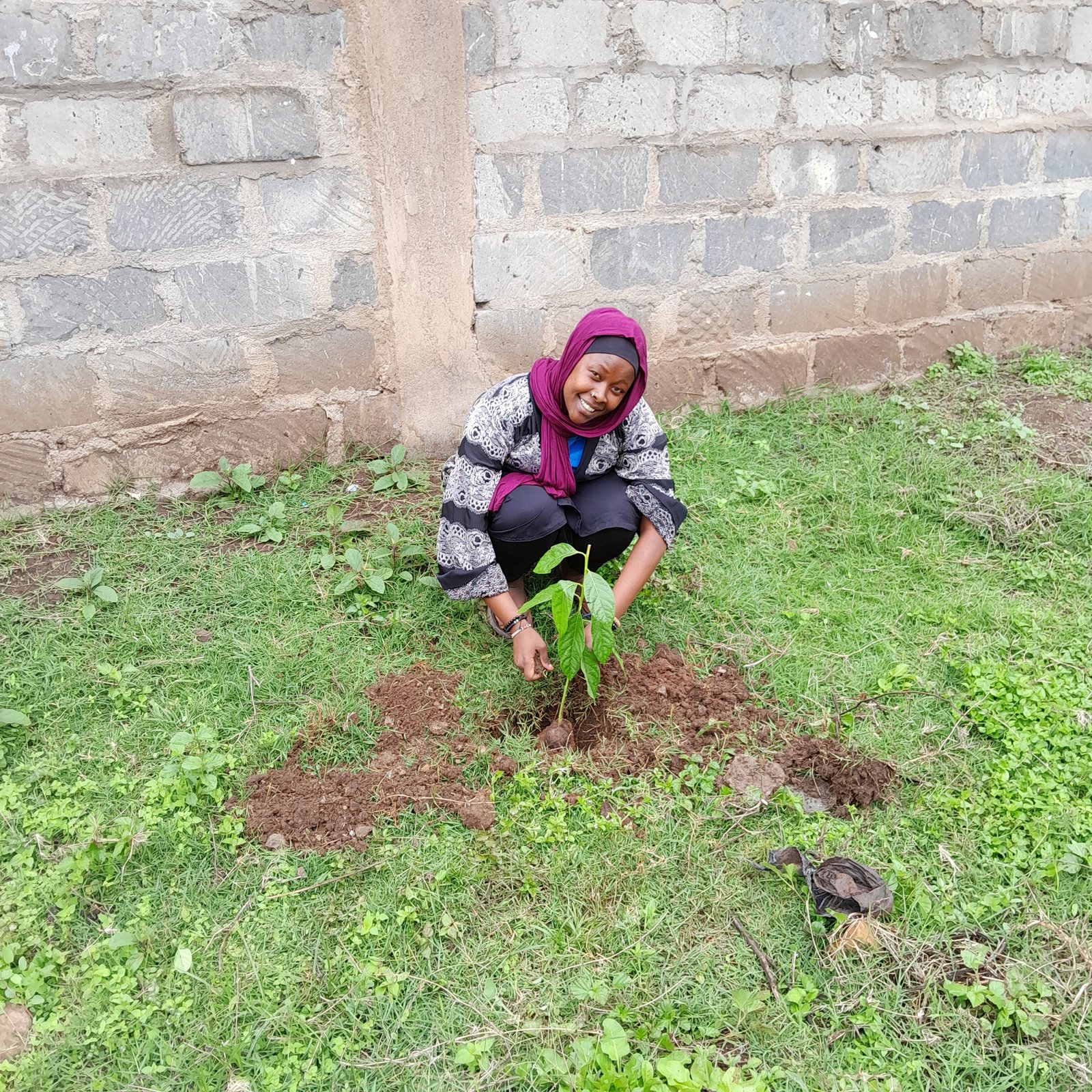 Tree Planting