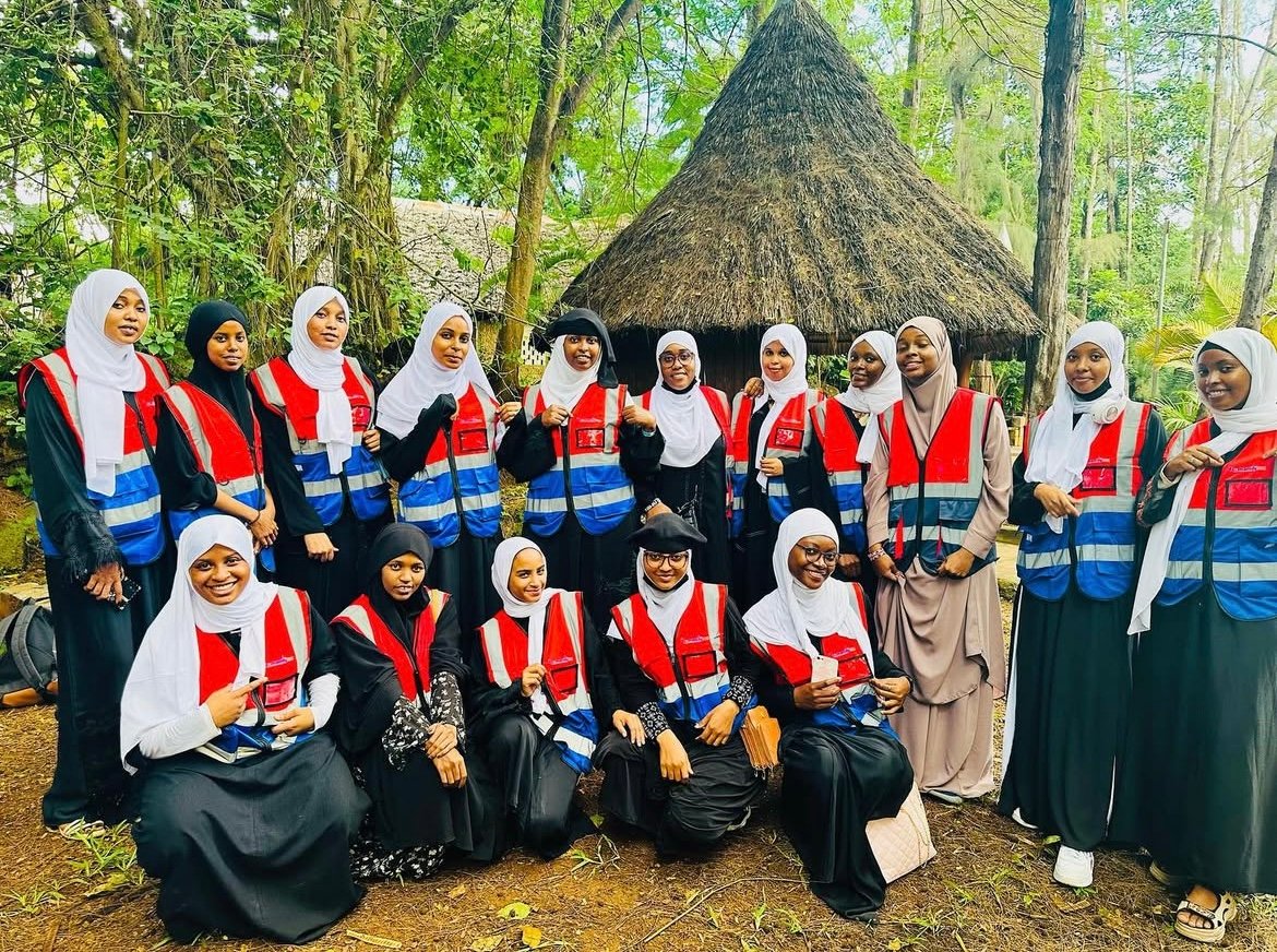 Mental Health Activities